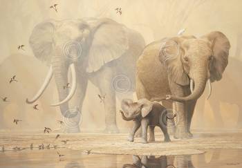 AFRICAN ELEPHANTS AND NAMAQUA DOVES