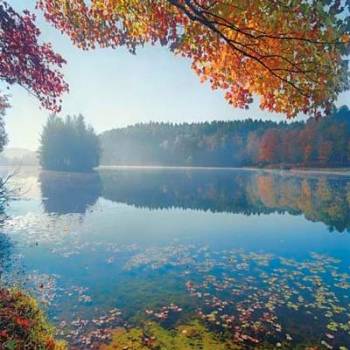 BASS LAKE IN AUTUMN I