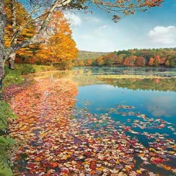 BASS LAKE IN AUTUMN II