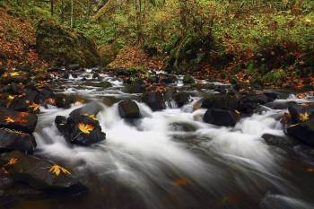 BRIDAL VEIL CREEK