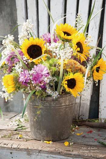 BUCKET OF SUNSHINE