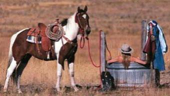 COWGIRL IN HEAVEN