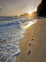 FOOTPRINTS