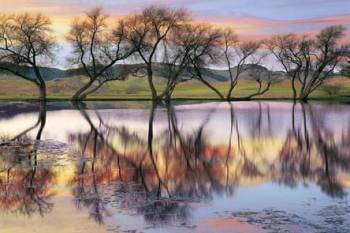 LAKE REFLECTION