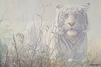 MONSOON WHITE TIGER