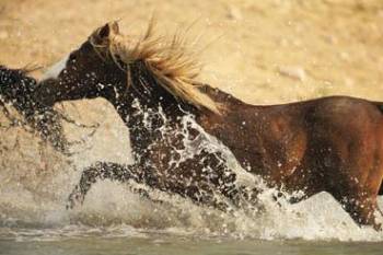 RUNNING THROUGH WATER