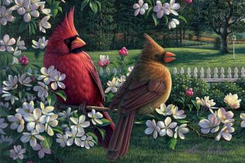 SPRING CARDINALS