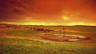 STORM OVER THE PRAIRIE