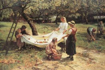 THE APPLE GATHERERS