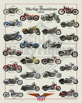 THE HARLEY DAVIDSON LEGEND