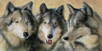 TRES LOBOS