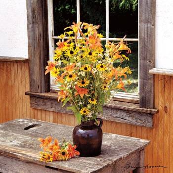 WILDFLOWER WINDOW