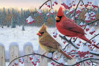 WINTER CARDINALS